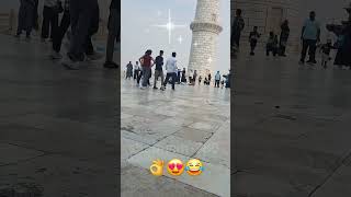 Kabe ki ronak labe ka manjar  new naat Sharif viral video  shabnam786 viral 😂  sorts [upl. by Anaiuq653]