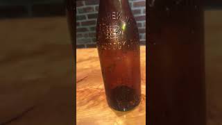 Home Brewing Braddock PA Found Bottle Digging Pittsburgh antiques beer bottledigging [upl. by Lin]