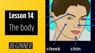 Beginner Levels  Lesson 14 The Body [upl. by Dwaine]