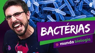 🦠 Microbiologia 25 Bactérias  Biologia  ENEM [upl. by Aimar]