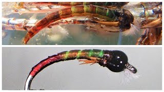 TSP  Tony Stark Pupa Chironomid Fly [upl. by Nnaihs]