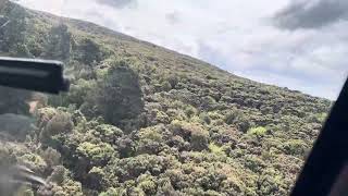 Short Helicopter ride Rakiura Stewart Island [upl. by Enitsuj]