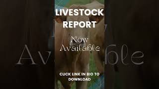 Livestock Report [upl. by Stormy]