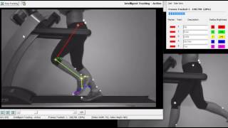 Quintic Intelligent Tracking  Quintic Biomechanics v29 [upl. by Nesral188]