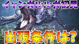 【MHWI】イャンガルルガ出現条件はなんだ？イビルジョーとの戦闘ムービーもBGMも最高すぎる黒狼鳥戦！初見【モンハンワールド：アイスボーン】 [upl. by Alrrats]