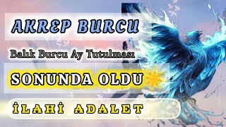 AKREP BURCU GELİYOR GELMEKTE OLAN 👑 [upl. by Cadman]