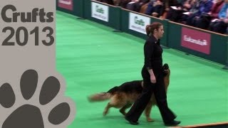 Obedience Dog Championships  Day 3  Crufts 2013 Jenny Gould amp Zakanja Bitter N Twisted [upl. by Aicile]