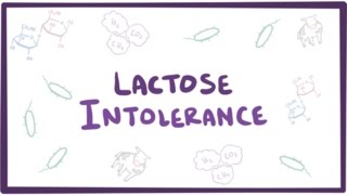 Lactose intolerance  causes symptoms diagnosis treatment amp pathology [upl. by Edivad]