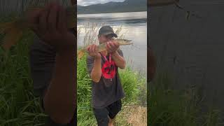 Beautiful Stagecoach Reservoir N Oak Creek Colorado Nice Pike Fun Place 2 Fish fishing shorts [upl. by Guzel]