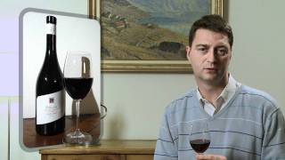 Syrah du Valais 2010 JeanRené Germanier  Dégustation vidéo [upl. by Loggia]