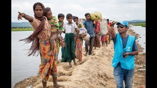 UNHCR seeks support to expand Rohingya aid operation [upl. by Gino]