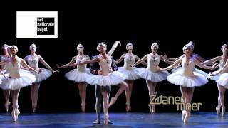 Swan Lake  Het Zwanenmeer  Het Nationale Ballet [upl. by Novehc892]