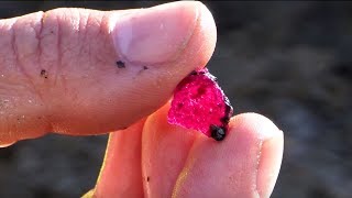 Rubies from Aappaluttoq Greenland [upl. by Wimsatt]