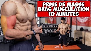 Prise de masse bras biceps triceps musculation programme [upl. by Bronez800]