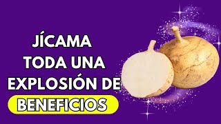 Descubriendo Los Maravillosos Beneficios De La Jícama 🔶 Propiedades De La Jicama🔶 Otros Nombres [upl. by Eilrak]