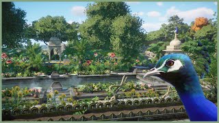 🦚Tropical Indian peafowl garden  Soliuko Zoo  Planet Zoo  speedbuild🍁 [upl. by Nimaj531]