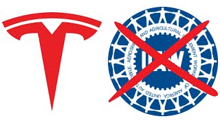 A Union Will Ruin Tesla [upl. by Landy]