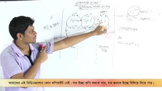 03 Active Transport Processes of Salt Absorption Part 01  লবণ পরিশোষণের সক্রিয় মতবাদ পর্ব ০১ [upl. by Tega817]