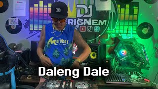 Daleng Dale Budots Remix  Dj Ericnem [upl. by Gyimah583]