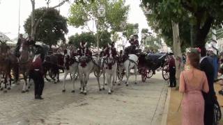 Feria de Sevilla 2011 Paseo de Caballos Sevillanas por Gracia Montes [upl. by Borreri]