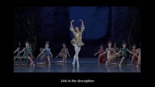 Midsummer Nights Dream UPDATE  Balanchine  scherzo  Villella Andersen Gibson Bolle Mar [upl. by Llatsyrc882]