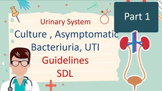 Culture  Asymptomatic Bacteriuria  UTI Guidelines  Part 1 [upl. by Molloy633]