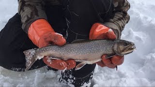 Ice Fishing for BIG Brook Trout [upl. by Kelsey367]