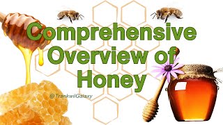 Comprehensive Overview of Honey [upl. by Nosnaj]