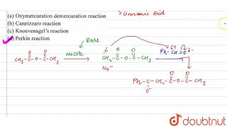 What is the name of the following reaction PhCHO  CH2CO2O overset NaOac2 to PhC [upl. by Weissberg606]