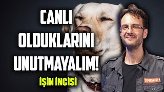 HOPE NEDİR  Pozitif Pet Eğitmeni Baran ALAN  işinincisi 38 [upl. by Enimaj]