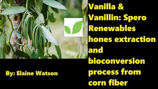 Vanilla amp Vanillin Spero Renewables hones extraction and bioconversion process from corn fiber [upl. by Yra]