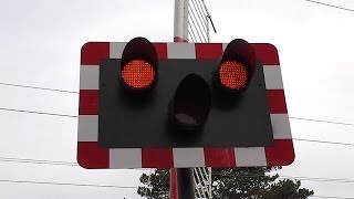 Level Crossing at Burrow Road Dublin [upl. by Anerat]