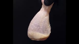 Vaporizing Chicken in Acid [upl. by Irmo]