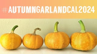 AutumnGarlandCAL2024 Introduction [upl. by Emmalynne]