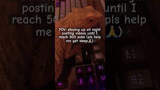 Help Patrick sleep beardeddragon hounddog subgoal500 helpmesleep [upl. by Nicodemus]