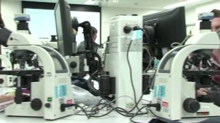 Macquarie University Biological Sciences Lab Tour [upl. by Brittan]