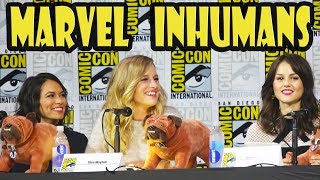 Marvel Inhumans Panel at San Diego Comic Con 2017 [upl. by Perceval]