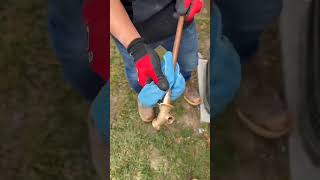 Outdoor spigot installation plumbing plumber diy [upl. by Citarella]