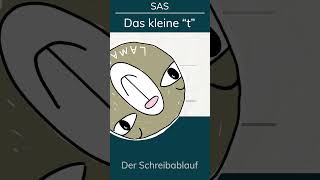 ✍️quottquot Schulausgangsschrift Handschrift verbessern Schreiben lernen Schön schreiben mit dem 🦙 [upl. by Sida]