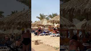 🇪🇬 Sharm El Sheikh Egypt Beach [upl. by Racklin212]