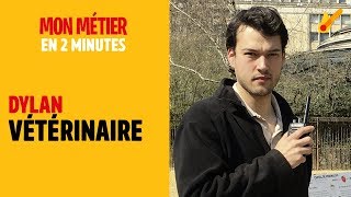 Vétérinaire  Mon métier en 2 minutes [upl. by Sheldon577]