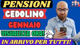 PENSIONI CEDOLINO GENNAIO 2024 ARRIVATO CONTROLLA GLI AUMENTI ORA [upl. by Assirac]