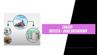 Enagic Trifecta  Quad Breakdown [upl. by Iives]