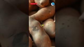 La patate douce  super  légume [upl. by Ecienahs]