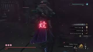 Sekiro  Late Game amp NG Farm  Platinum Trophy [upl. by Barram]