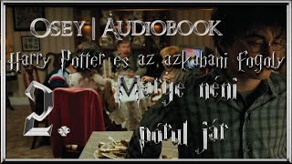 Harry Potter és az azkabani fogoly hangoskönyv remake  2 fejezet [upl. by Nosneb658]