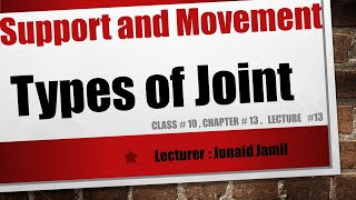 Class 10 Biology Chapter 13 Types of Joints [upl. by Georgetta]