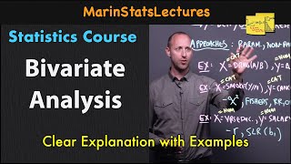 Bivariate Analysis Meaning  Statistics Tutorial 19  MarinStatsLectures [upl. by Lemor]