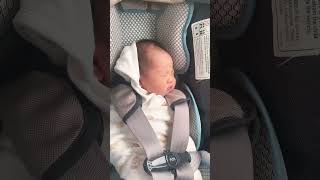 NEWBORN ON CHICCO KEYFIT 30 CAR SEAT [upl. by Thetis206]