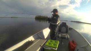 Walleye Fishing At North Caribou Lake [upl. by Whiteley422]